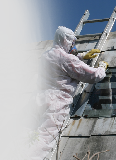 Asbestos Removal